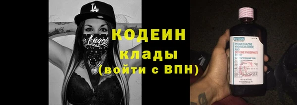 хмурый Алзамай